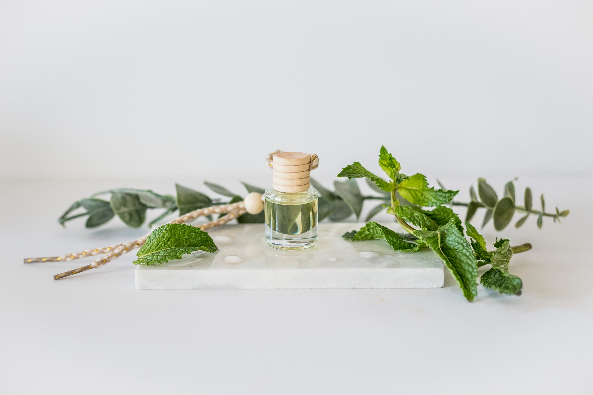 Car Diffuser: Eucalyptus Mint – Ivy & Sage Co.