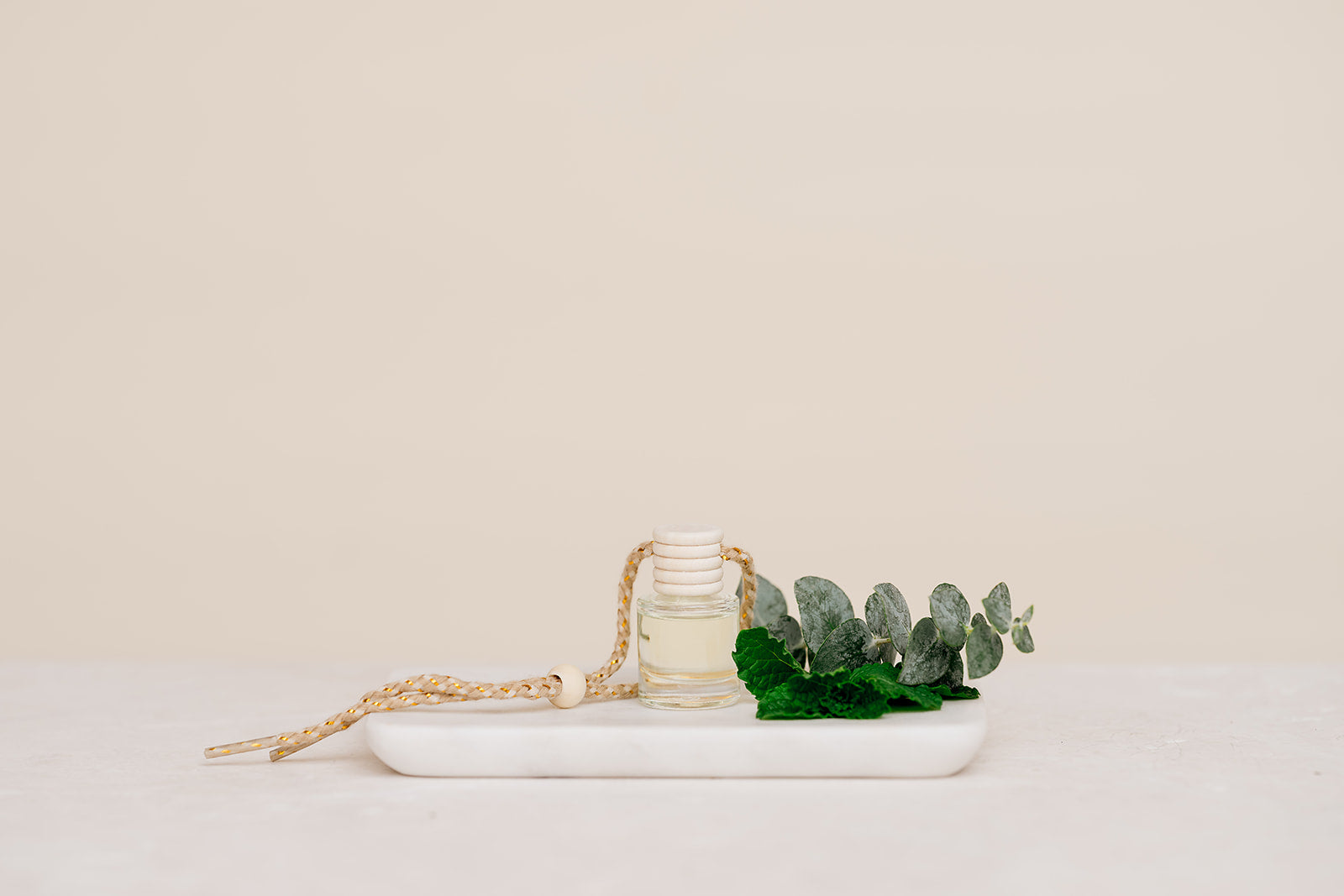 ivy plant air purifier Eucalyptus Mint Car Diffuser