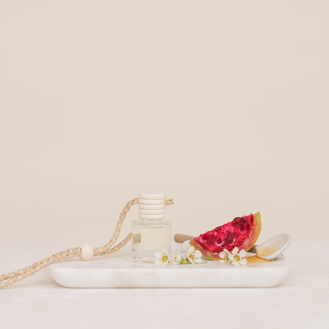 Cactus Flower: Car Diffuser