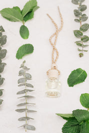 Eucalyptus Mint: Car Diffuser