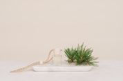Small glass car diffuser with an adjustable rope and a bundle of pine needles on a white marble slab against a beige background. Car Freshener that smells like Christmas. Christmas scents perfect gift idea. 