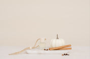 Glass Car Diffuser bottle with white pumpkin, cinnamon sticks on a white surface with a beige background in scent Pumpkin Spice