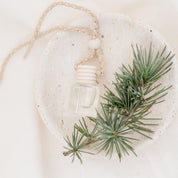 Car Diffuser with greenery on a white background in a marble bowl