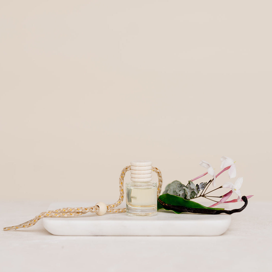 Warm Cashmere: Car Diffuser