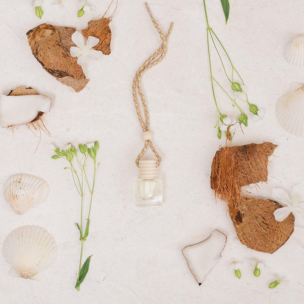 Decorative arrangement of seashells, coconut and small plants on a white background highlighting our glass card diffuser bottle