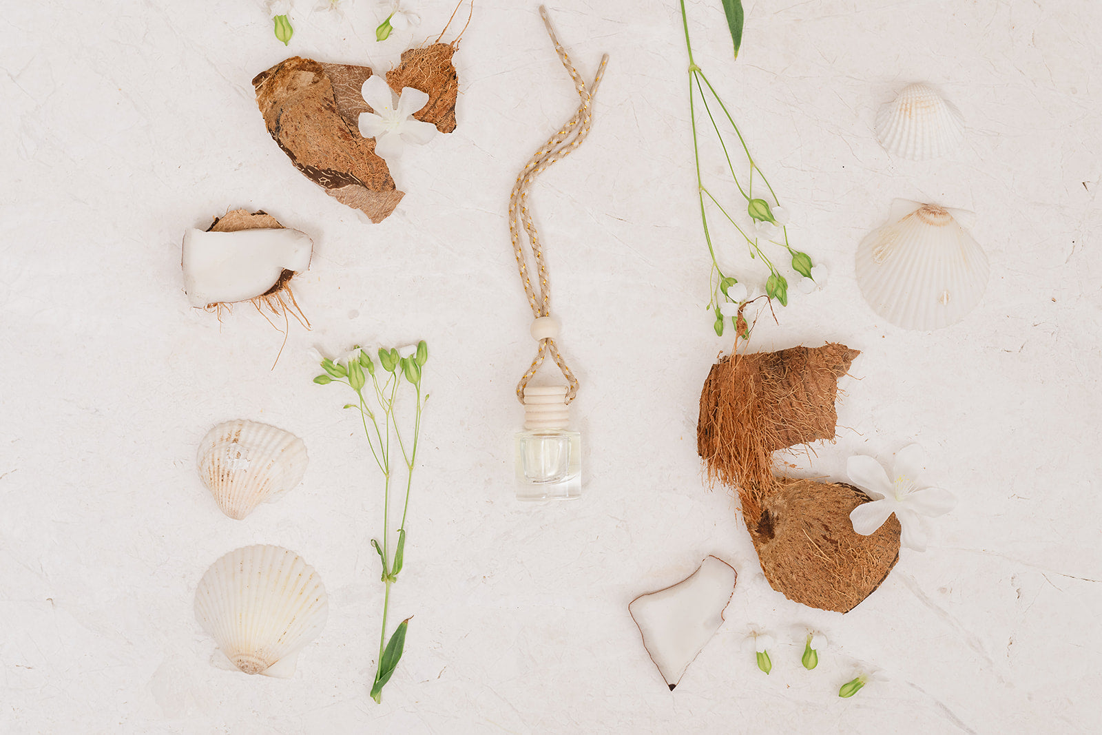 Decorative arrangement of seashells, coconut and small plants on a white background highlighting our glass card diffuser bottle