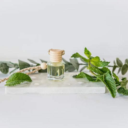 Cactus Flower: Car Diffuser